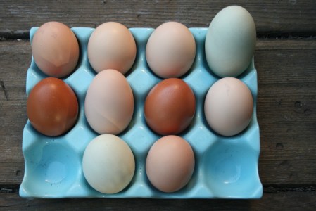 Eggs 2